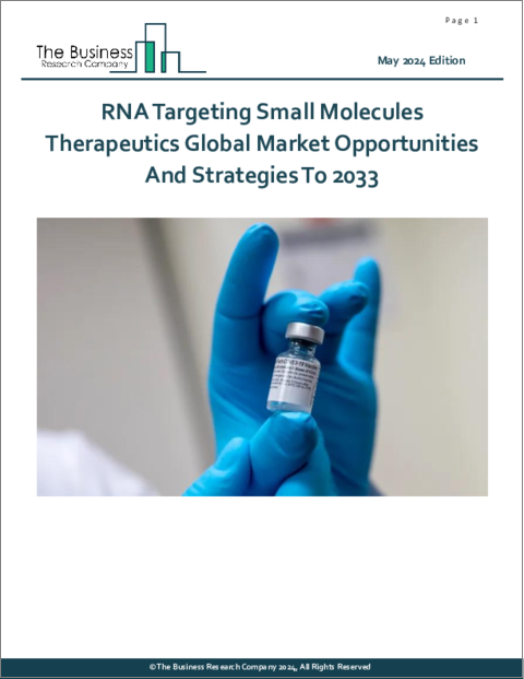 表紙：RNA標的低分子治療薬の世界市場：2033年までの機会と戦略