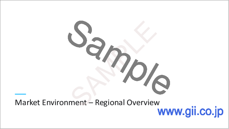 サンプル1：世界の包装産業における機会（2024年）
