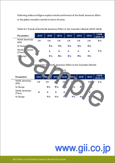 サンプル2：化粧品向けフィラーの世界市場：動向、機会、競合分析【2024-2030年】