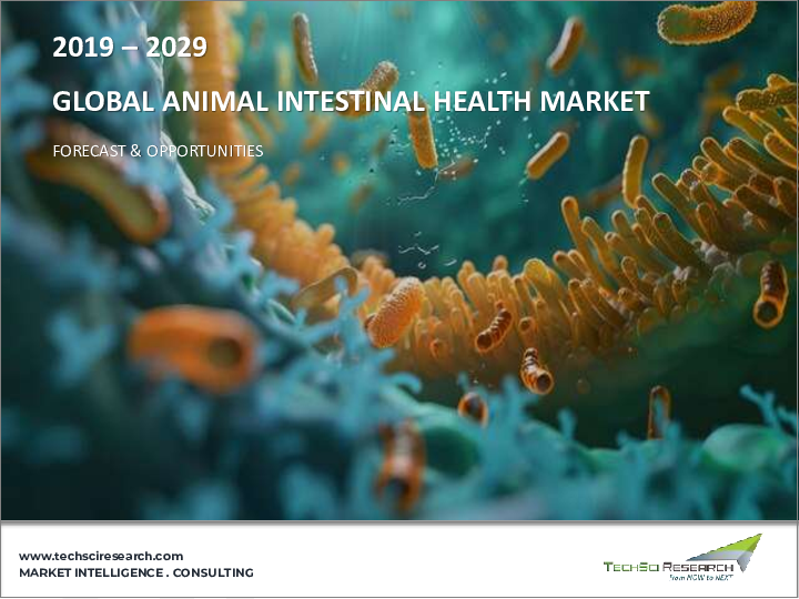 表紙：動物腸内健康市場：世界の産業規模、シェア、動向、機会、予測、家畜別、添加剤別、形態別、由来別、地域別、競合別、2019年～2029年