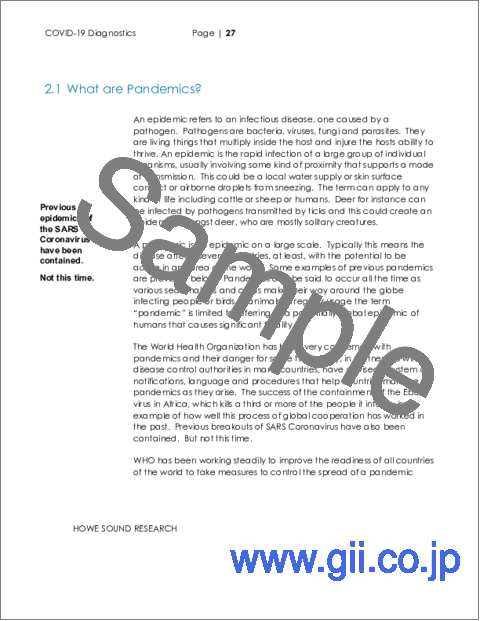 サンプル2：COVID-19診断市場：C19診断薬の世界市場予測 - 技術別、製品別、チャネル別、国別予測 - エグゼクティブコンサルタントガイド付き（2024年～2028年）