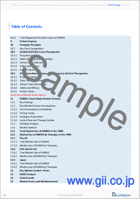 サンプル2：NORDA（No Option Refractory Disabling Angina）- 市場考察、疫学、市場予測（2034年）