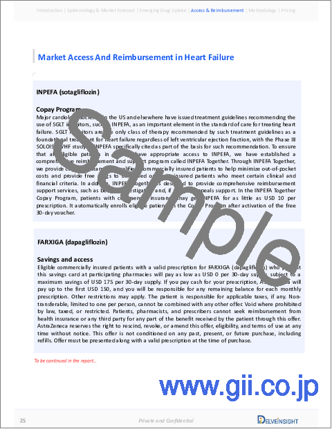 サンプル2：心不全：洞察・疫学・市場予測 (～2034年)