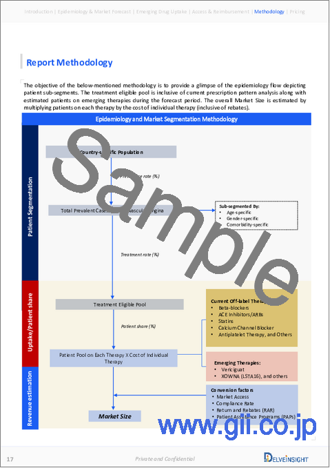 サンプル2：微小血管狭心症 - 市場考察、疫学、市場予測（2034年）