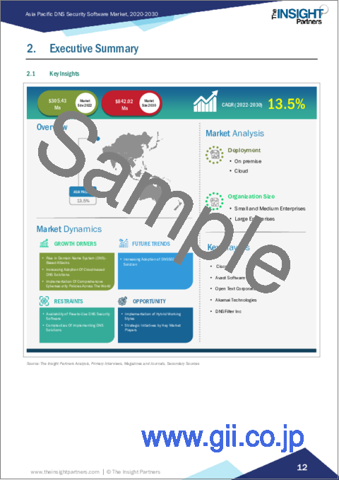 サンプル1:アジア太平洋のDNSセキュリティソフトウェア:2030年市場予測-地域別分析-展開、組織規模別