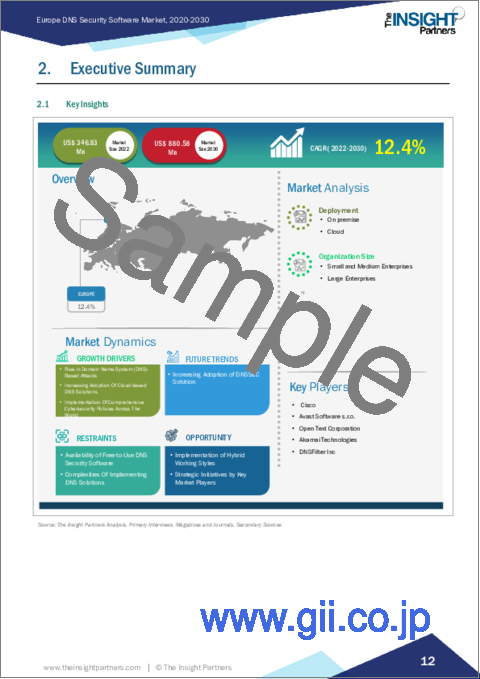 サンプル1：欧州のDNSセキュリティソフトウェア：2030年市場予測- 地域別分析-展開・組織規模別