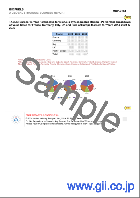 サンプル2：バイオ燃料の世界市場