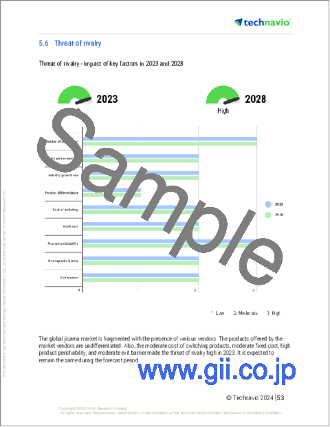 サンプル2：ヒカマの世界市場 2024-2028