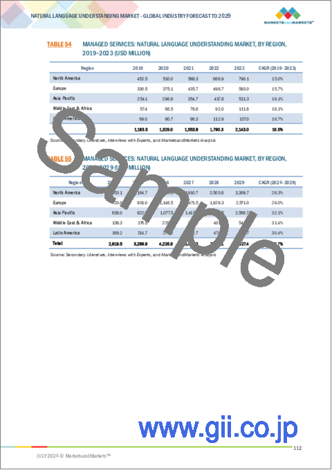 サンプル2:自然言語理解(NLU)の世界市場の市場規模、シェア、成長分析:提供別、タイプ別、用途別 - 産業予測(~2029年)