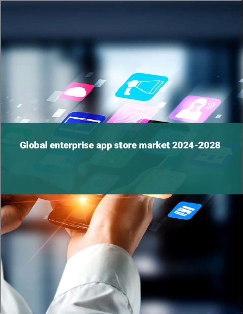 表紙：エンタープライズ向けアプリストアの世界市場 2024-2028