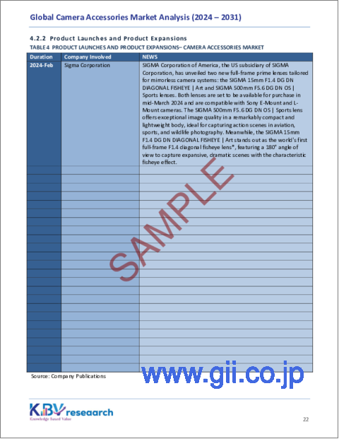 サンプル2：カメラアクセサリーの世界市場の規模、シェア、動向分析：流通チャネル別、タイプ別、地域別、展望と予測、2024年～2031年