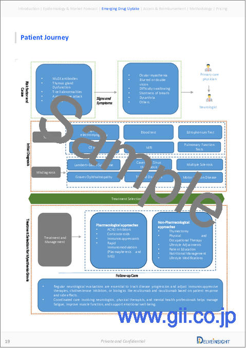サンプル1：重症筋無力症 - 市場の洞察、疫学、市場予測：2034年