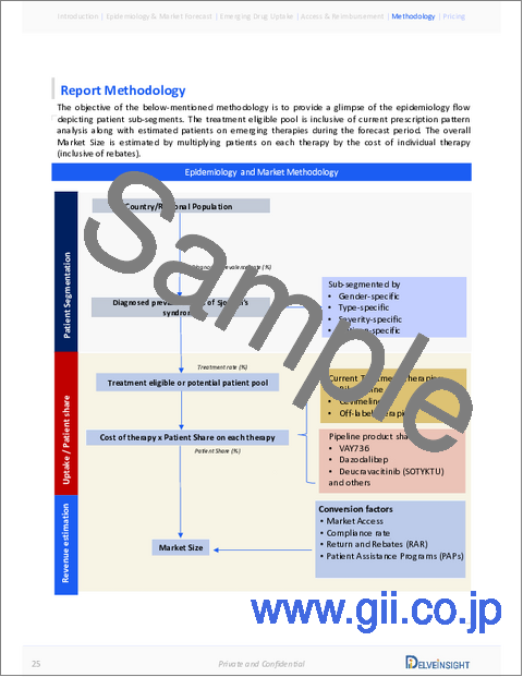 サンプル2：シェーグレン症候群市場 - 市場の洞察、疫学、市場予測：2034年