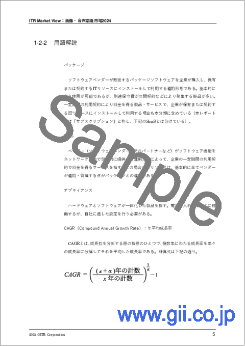 サンプル2：ITR Market View：画像・音声認識市場2024