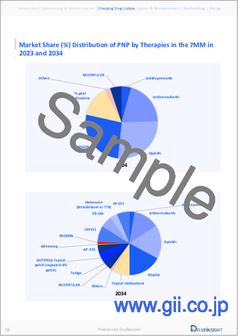 サンプル1：末梢神経障害性疼痛 - 市場の洞察、疫学、市場予測：2034年