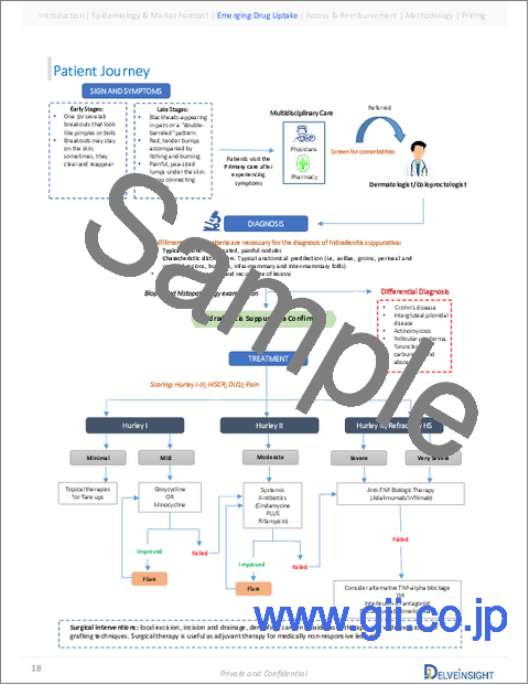 サンプル1:化膿性汗腺炎 - 市場の洞察、疫学、市場予測:2034年