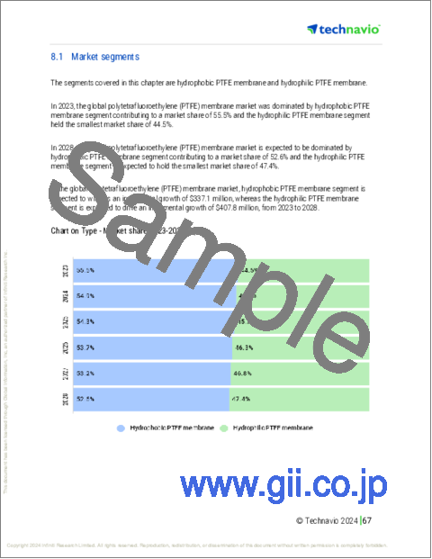 サンプル2：ポリテトラフルオロエチレン（PTFE）膜の世界市場、2024～2028年
