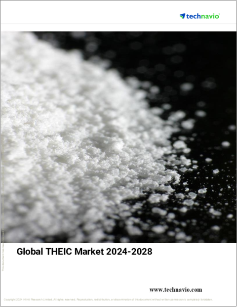 表紙：THEICの世界市場、2024年～2028年