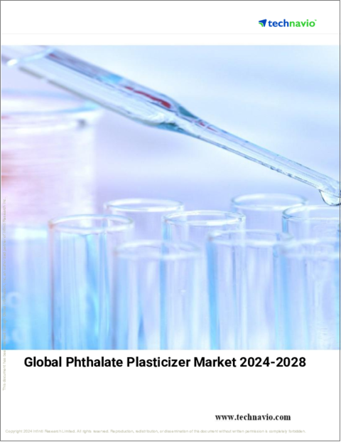 表紙：フタル酸可塑剤の世界市場、2024～2028年