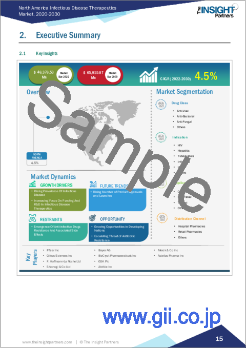 サンプル1：北米の感染症治療薬：2030年市場予測- 地域別分析- 薬剤クラス別、適応症別、投与経路別、流通経路別
