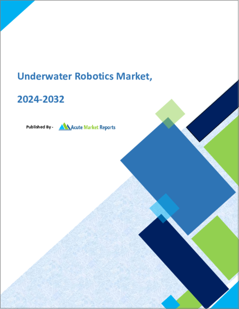 表紙：水中ロボット市場：成長、将来展望、競合分析、2024年～2032年