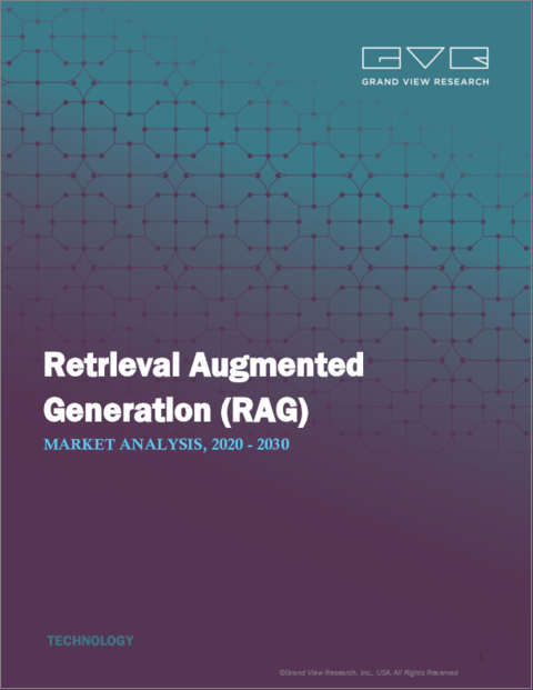 表紙：RAG（検索拡張生成）の市場規模、シェア、動向分析レポート：機能別、用途別、展開別、最終用途別、地域別、セグメント別予測、2024年～2030年