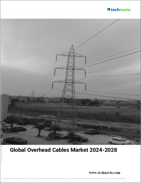 表紙：架空ケーブルの世界市場 (2024～2028年)