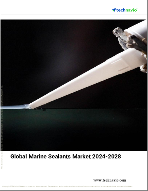表紙：船舶用シーラントの世界市場 (2024～2028年)