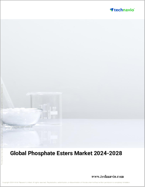 表紙：リン酸エステルの世界市場、2024～2028年