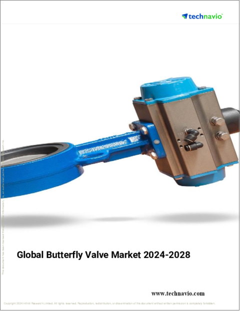 表紙：バタフライバルブの世界市場、2024～2028年