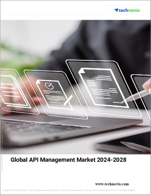 表紙：API管理の世界市場、2024～2028年