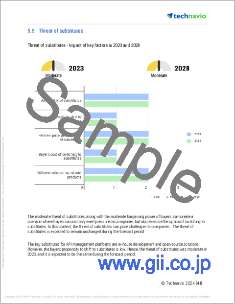 サンプル2：API管理の世界市場、2024～2028年