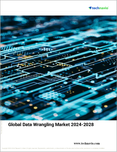 表紙：データラングリングの世界市場、2024～2028年