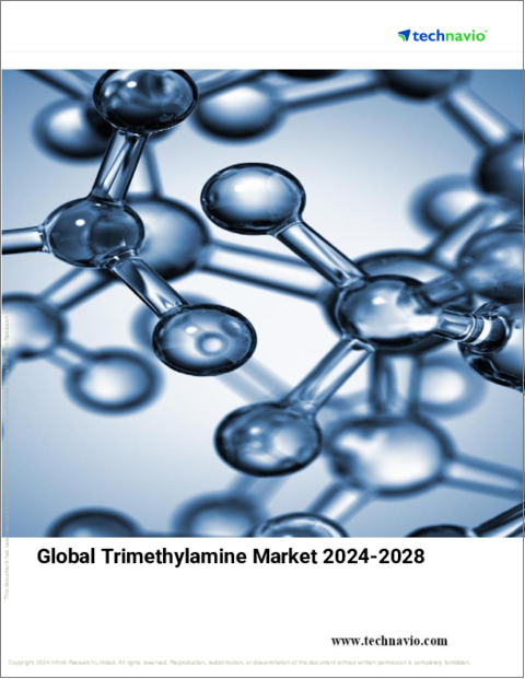 表紙：トリメチルアミンの世界市場 (2024～2028年)