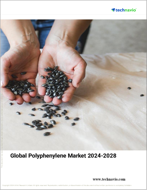 表紙：ポリフェニレンの世界市場、2024～2028年