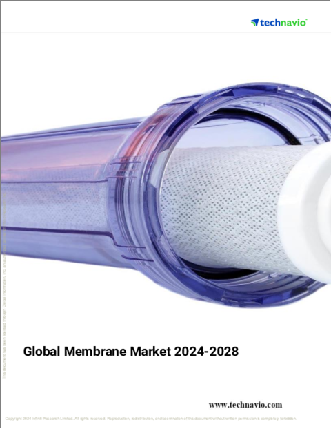 表紙：メンブレンの世界市場 2024年～2028年