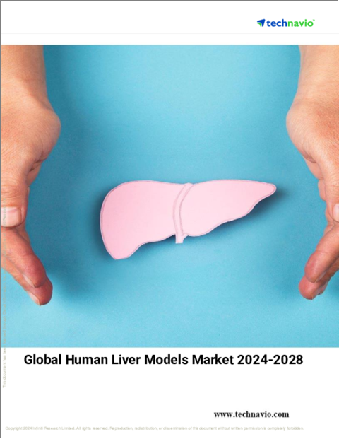 表紙：ヒト肝臓モデルの世界市場 2024年～2028年