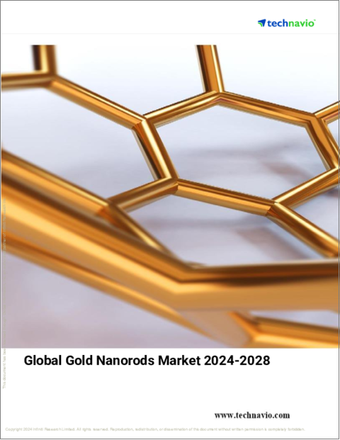 表紙：金ナノロッドの世界市場 (2024～2028年)