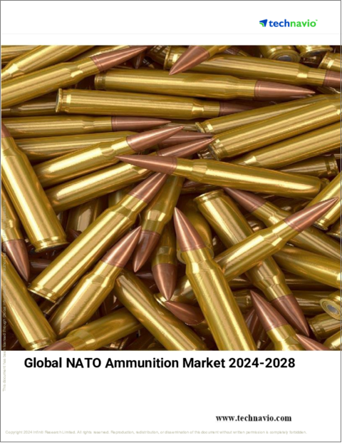 表紙：NATO弾の世界市場 (2024～2028年)