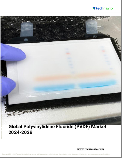 表紙：ポリフッ化ビニリデン (PVDF) の世界市場 (2024～2028年)