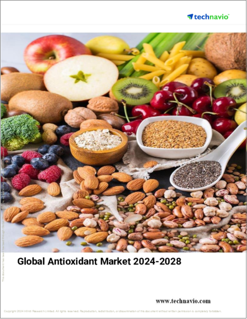 表紙：酸化防止剤の世界市場 (2024～2028年)