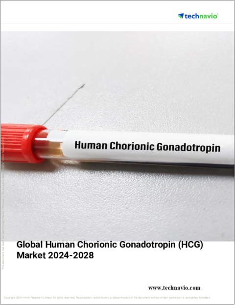 表紙：ヒト絨毛性ゴナドトロピン (HCG) の世界市場 (2024～2028年)