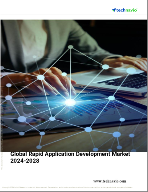 表紙：RAD (Rapid Application Development) の世界市場 (2024～2028年)