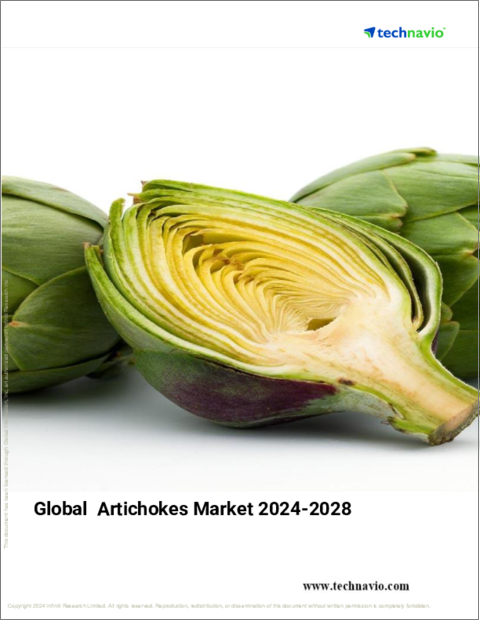 表紙：アーティチョークの世界市場 2024年～2028年
