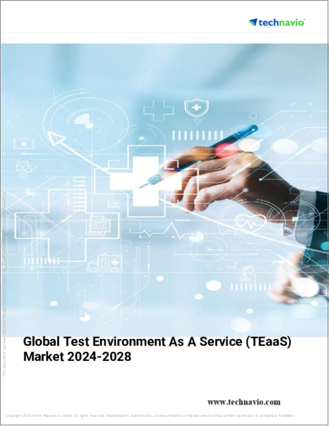 表紙：サービスとしてのテスト環境（teaas）の世界市場 2024年～2028年