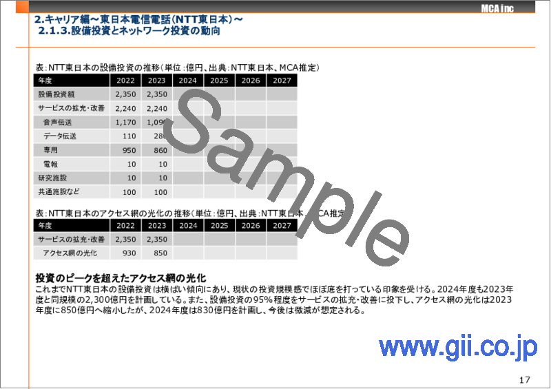 サンプル2：主要キャリアのネットワーク投資戦略と通信インフラ市場 2024年版