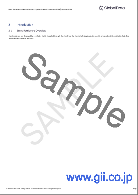 サンプル1：ステントリトリーバーのパイプライン - 開発段階、セグメント、地域と国、規制経路、主要企業（2024年版）