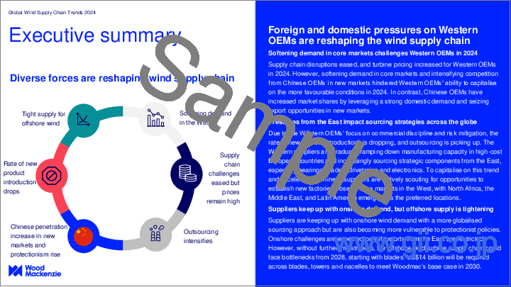 サンプル2：世界の風力サプライチェーンの動向 2024年