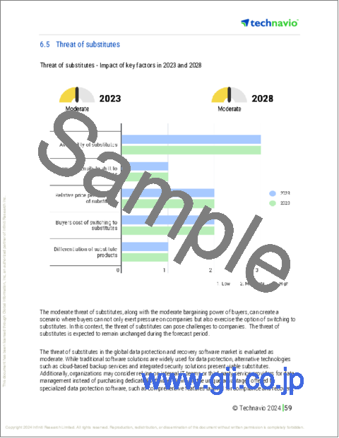 サンプル2：データ保護・復元ソフトウェアの世界市場（2024年～2028年）