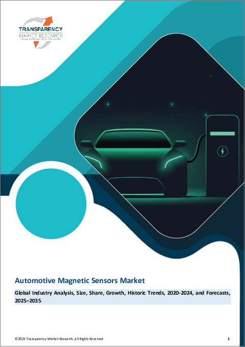 表紙：自動車用磁気センサー市場：世界の産業分析、規模、シェア、成長、動向、2024年～2034年予測
